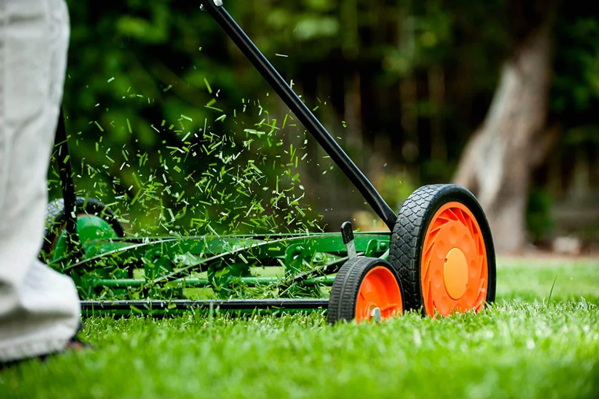 Pourquoi tondre en MULCHING pelouse et gazon ? Meilleure technique