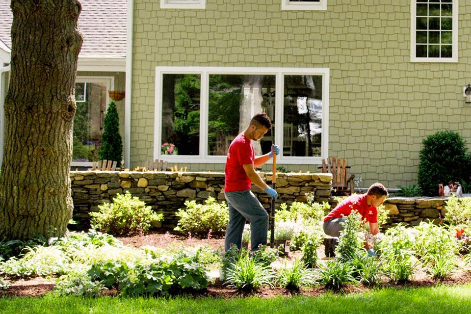 Quel ARBRE Planter DEVANT une MAISON ? Sélection 2025