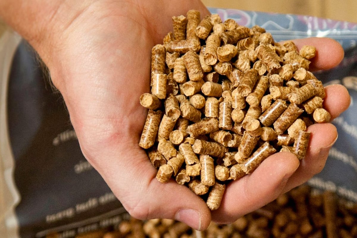 Pellet Carpe Extrudé 25mm 25kg
