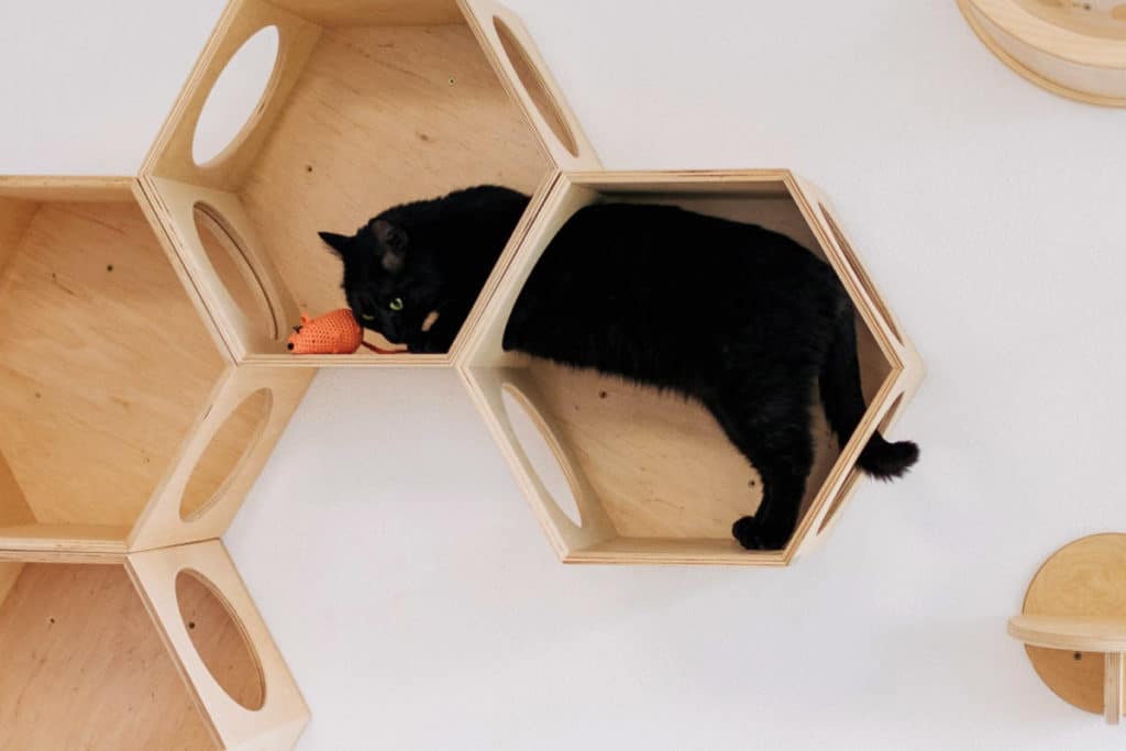 Comment Faire un ARBRE à CHAT Fait MAISON ? 5 Astuces Faciles