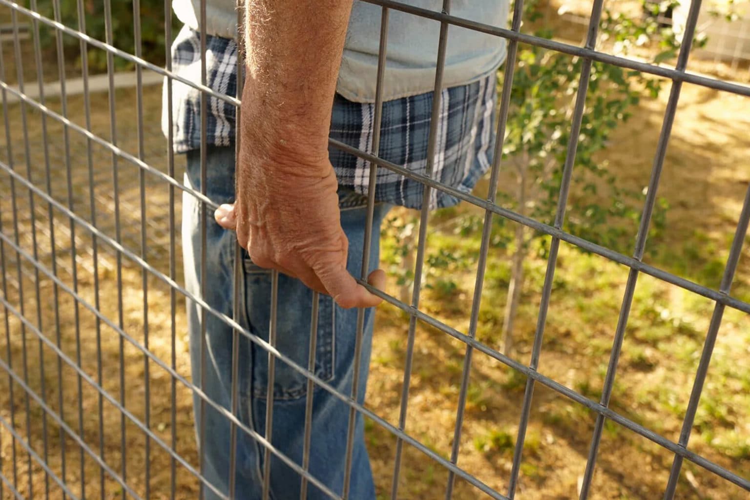 Comment FABRIQUER une CLÔTURE pour CHIEN Fait Maison