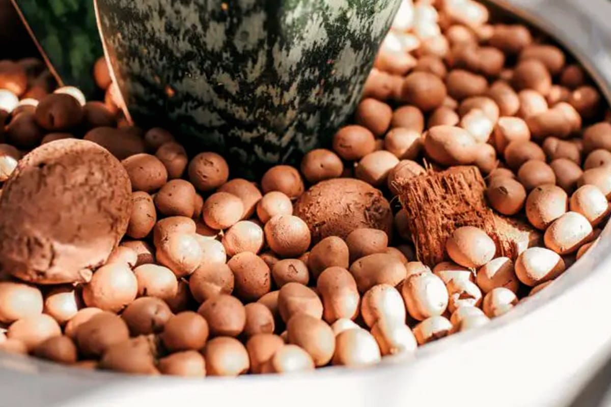 Par Quoi Remplacer les BILLES D’ARGILE Dans les POTS ? 5 Bonnes Idées à