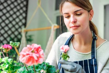 Des fleurs à perte de vue, tout le temps ! Les astuces infaillibles pour une terrasse en fleur 365 jours par an