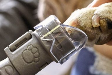 Avis du lime griffes chien et chat Dremel 7020,  PRIX mars 2026